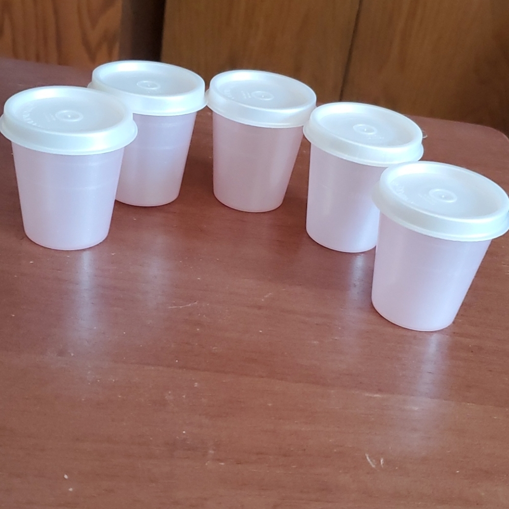 New Tupperware Tupper minis